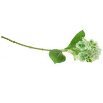 Artículo Hortensia artificial verde, blanco 68cm