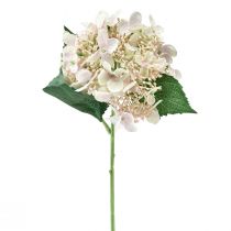 Artículo Hortensia flor de jardín artificial crema con capullos 52cm