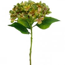 Artículo Hortensia artificial Verde, Flor artificial amarilla Al. 35 cm