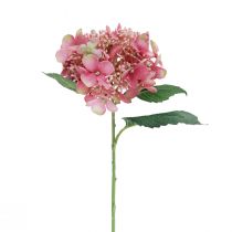 Artículo Hortensia flor de jardín artificial rosa y verde con capullos 52cm