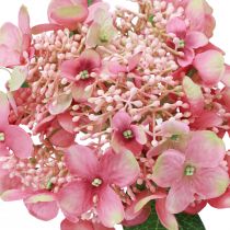 Artículo Hortensia flor de jardín artificial rosa y verde con capullos 52cm