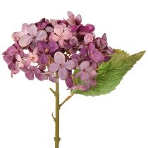 Artículo Hortensias artificiales moradas, flores artificiales, hortensias de 34 cm, 2 unidades