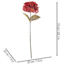 Artículo Rama de hortensia artificial en flor, flor grande, 74 cm.