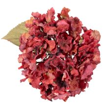 Artículo Rama de hortensia artificial en flor, flor grande, 74 cm.