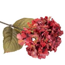 Artículo Rama de hortensia artificial en flor, flor grande, 74 cm.