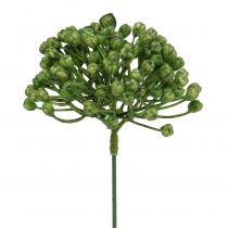 Artículo Palillo de capullos de hortensia 22cm verde 12uds