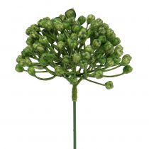 Artículo Palillo de hortensias 22cm verde 12pcs