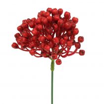 Artículo Palillo de capullos de hortensia 22cm rojo 12ud