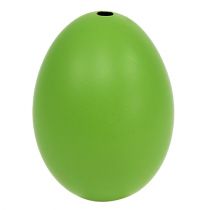 Artículo Huevos de gallina 5,5cm - 7cm verde 10 piezas