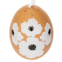 Artículo Decoración colgante de huevo de Pascua, primavera, Pascua, huevos de gallina reales, natural, 6 cm, 6 piezas