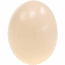 Artículo Huevo De Pollo Crema Decoración De Pascua Huevos Soplados 10 Piezas