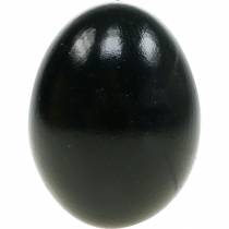 Artículo Huevos de Gallina Decoración de Pascua Negra Huevos Soplados 10 Piezas