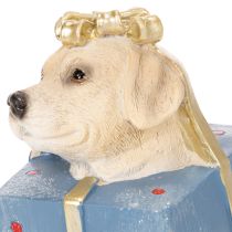 Artículo Figura decorativa de perro, cachorro sentado, en caja de regalo, 20 cm.