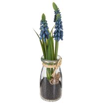 Artículo Jacinto artificial Perla jacinto azul en cristal H22cm 2uds