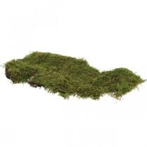 Musgo indio bosque musgo verde natural 2kg