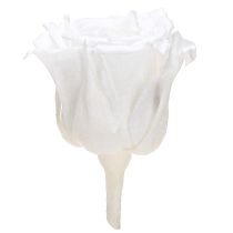Artículo Rosas preservadas Mini Rosas eternas Blancas Ø3cm 16pzs