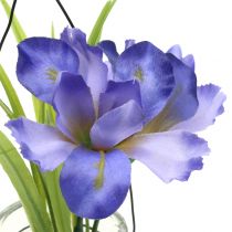 Artículo Iris lila en vidrio para colgar H21,5cm
