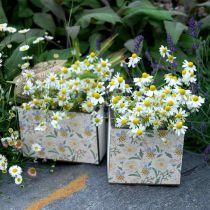 Artículo Cajas para plantar, decoración de madera, caja decorativa con abejas, decoración de primavera, shabby chic L15/12cm H10cm juego de 2