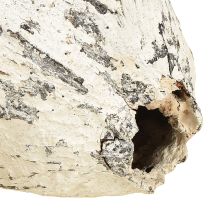 Artículo Maíz de cacao blanqueado 15 uds