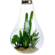 Cactus en el vaso para colgar 21cm