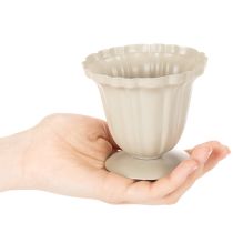 Artículo Cuenco decorativo, trofeo color crema, pequeño, 10 cm
