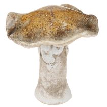Artículo Hongos decorativos de cerámica para decoración de mesa, color rojo, marrón y amarillo, 6 unidades (alto 6 cm)