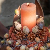 Artículo Velas de colores lisos Velas de pilar Naranja Melocotón 85×120mm 2ud