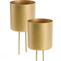 Artículo Portavelas enchufable portavelas dorado metal Ø5cm 4 piezas