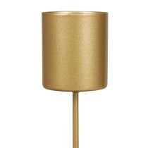 Portavelas candelabro de espina palo dorado 3,5×4cm 4ud