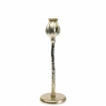 Candelabro flor de amapola champán A34cm