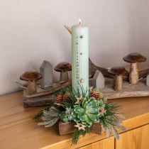 Artículo Candelero, decoración de mesa Navidad, candelero estrella H7cm Ø20cm/6.5cm