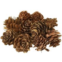 Artículo Piñas naturales pequeñas decoración en red 2,5-3,5cm 300g