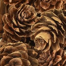 Artículo Piñas naturales pequeñas decoración en red 2,5-3,5cm 300g