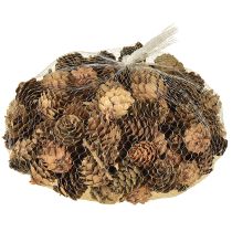 Artículo Piñas naturales pequeñas decoración en red 2,5-3,5cm 300g