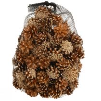 Artículo Piñas de pino silvestre (Pinus sylvestris) H3–5cm 1 kg