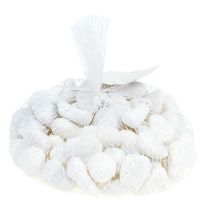 Artículo Guijarros en la red Blanco 2,5cm - 4cm 1kg