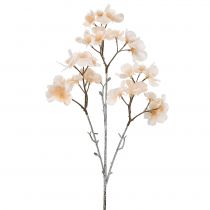 Geeist Branch Cherry Blossom Cream 51cm