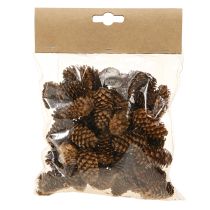 Artículo Conos de cicuta pequeños decorativos naturales Adviento 3-4cm 100g