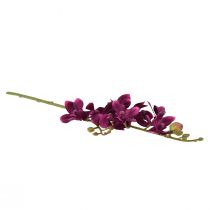 Artículo Pequeña orquídea Phalaenopsis flor artificial violeta oscuro 30cm