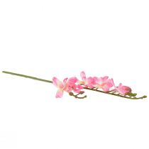 Artículo Pequeña Orquídea Phalaenopsis Flor Artificial Rosa 30cm