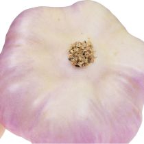 Artículo Decoración de verduras artificiales ajo rosa, blanco Ø6,5cm 2 piezas