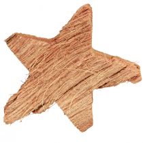 Artículo Decoración estrella de coco natural Decoración navideña natural 5,5-7cm 30 piezas