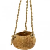 Artículo Cuenco colgante de coco, cuenco de plantas naturales, cesta colgante Ø8cm L55cm