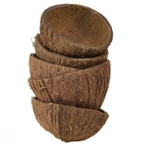 Artículo Cuenco de coco decoración medio cocos naturales Ø7-9cm 5ud