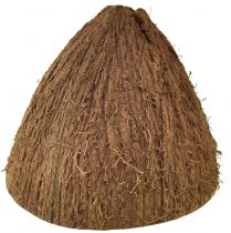 Artículo Cuenco de coco decoración medio cocos naturales Ø7-9cm 5ud