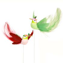 Artículo Decoración colibrí en palo turquesa burdeos 13-15cmx9-10cm 6ud