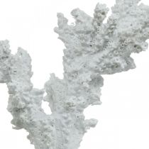 Decoración marítima coral blanco decoración artificial stand 11×12cm