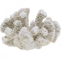Decoración marinera poliresina artificial blanca coral pequeña 13,5x12 cm