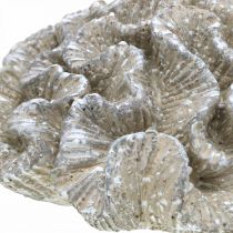 Artículo Decoración marinera poliresina artificial coral beige blanco 23x20cm