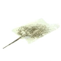 Artículo Coral rama con mica oro claro 3uds